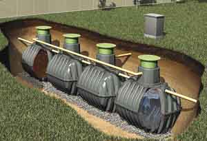 armex2