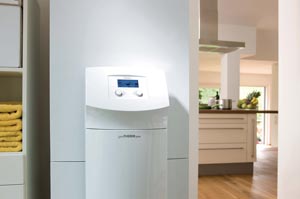 vaillant_3
