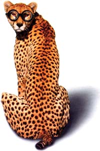 lucka2
