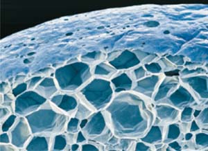 neopor