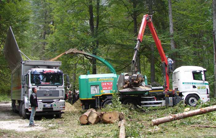 Lesna biomasa v Sloveniji - izziv lesnih goriv