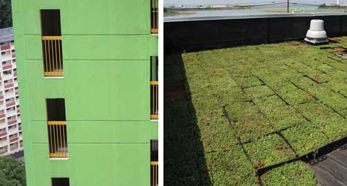 zelena gradnja fasada