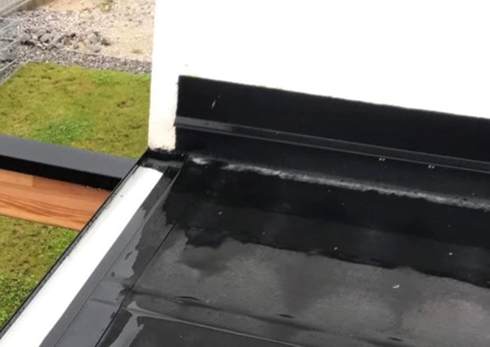 kalcer Rhepanola ob zidu2