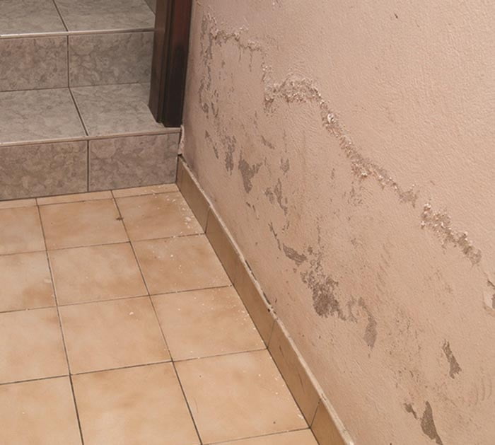 Kako odstraniti plesen in vlago poskodba zidu
