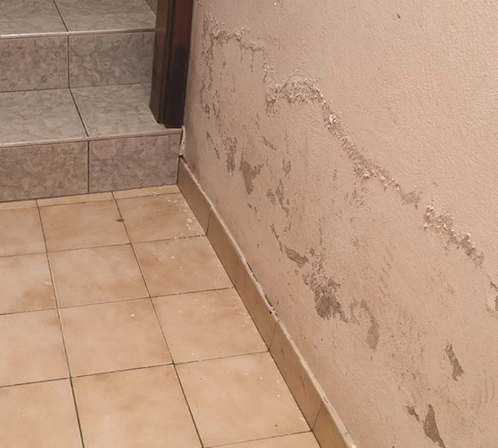 Kako odstraniti plesen in vlago poskodba zidu
