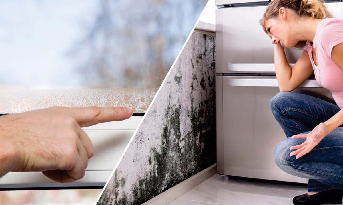 Vlaga in plesen na steni zaradi slabega prezračevanja – posledice neustreznega prezračevalnega sistema v stanovanju
